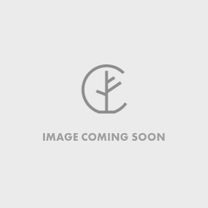 Lpd Oak Mexicano Pre-Finished 1 Light Silkscreen Glass Door Fd30